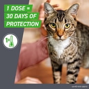 FRONTLINE Plus for Cats and Kittens Flea and Tick Treatment, 6 Count