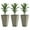 Gray, variant on Demi Bonn 3-Piece Tall Planters with Drainage, 28" Outdoor Plant Pots, Indoor Pottery for Porch & Patio, Deck Planting, Gray