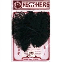 Ostrich Feathers 2/Pkg-Black, Pk 6, Zucker