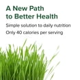 thumbnail image 5 of Vibrant Health, Green Vibrance, Version 17.0, 240 VegiCaps, 5 of 9