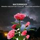 thumbnail image 3 of 1PCS Solar Rose LED Light-7 Heads Pink MFZFUKR CPB-US-DYP537-2, 3 of 5