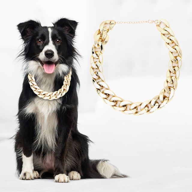 Collier Ras du Cou Doré pour Chien, Collier Ras du Cou en Plastique Brillant Design de Classe Mondiale
