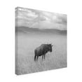 thumbnail image 2 of Ben Heine 'Once Upon A Time In Kenya 4' Canvas Art, 2 of 3