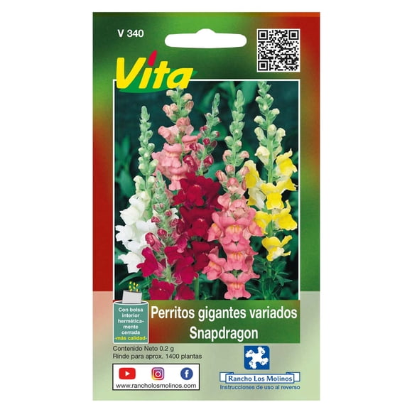 Semillas Perritos Gigantes Variados Vita