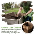 thumbnail image 6 of 240 Cells Seed Thickened 12-Cell Peat Pots Seed Starter Kit - 20 Trays + Transplanting Tools & Plant Labels, Biodegradable Root-Friendly Seedling Cups for Vegetables Flowers Herbs Seed Starting, 6 of 8