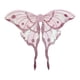 thumbnail image 3 of Disfraz de Princesa Hada Mariposa, accesorio para fiesta de carnaval y cosplay de Halloween Rosa, 3 of 9
