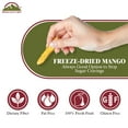 thumbnail image 2 of Himalayan Chef Freeze-Dried Fruit – 15g Freeze-Dried Mango, Pack of 10 Bags | Organic Fruit Snacks, Healthy Snacks for Kids & Adults | Baby Snacks, Gluten-Free Dried Fruit, 2 of 8