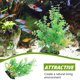 thumbnail image 3 of BEADCEST 2Ud Decorativas Para De Peces Con Material Premium Sin Para, 3 of 6