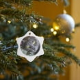 thumbnail image 7 of 3drose, Usa, Kansas. Oscar Resting, House Cat., 3 inch Snowflake Porcelain Ornament, 7 of 7