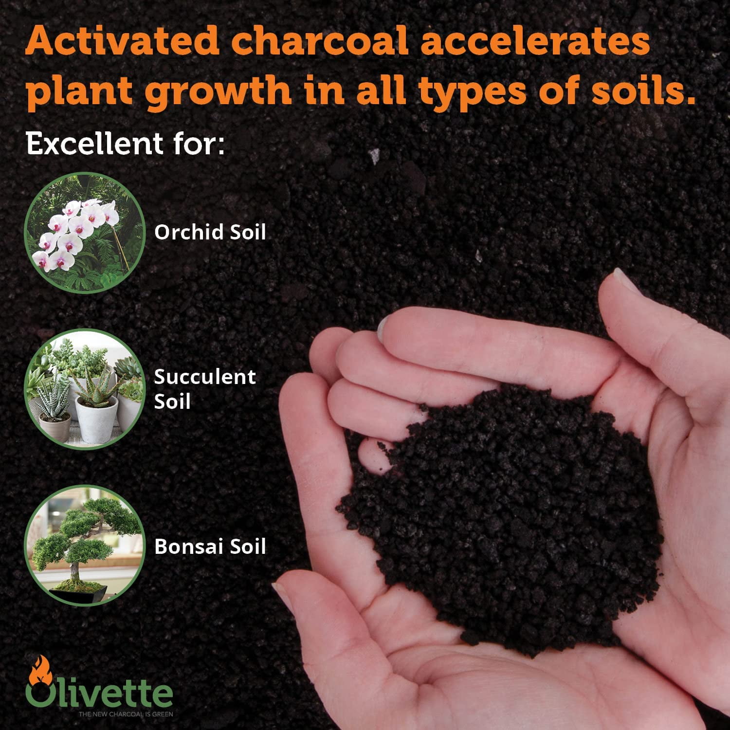 Horticultural Activated Charcoal for Plants by Olivette | Terrarium Horticulture Moisture Absorbers | Terrarium Supplies | USDA Organic Certified | Made from Recycled Olive Tree Byproducts | 3 Bags