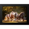thumbnail image 2 of PHBurchett 18x13 Black Modern Framed Museum Art Print Titled - Sunlit Horses III, 2 of 5