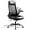 Black, variant on CZMJY Executive Chair Computer Office Chair, High Back Ergonomic Desk Chair with Adjustable Flip-up Armrests, Lumbar Support and Thick Headrest, Black