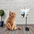 thumbnail image 4 of Funny Cat Feather Toys Interactive Cat Toy Teaser for Chase Exercise B, 4 of 7