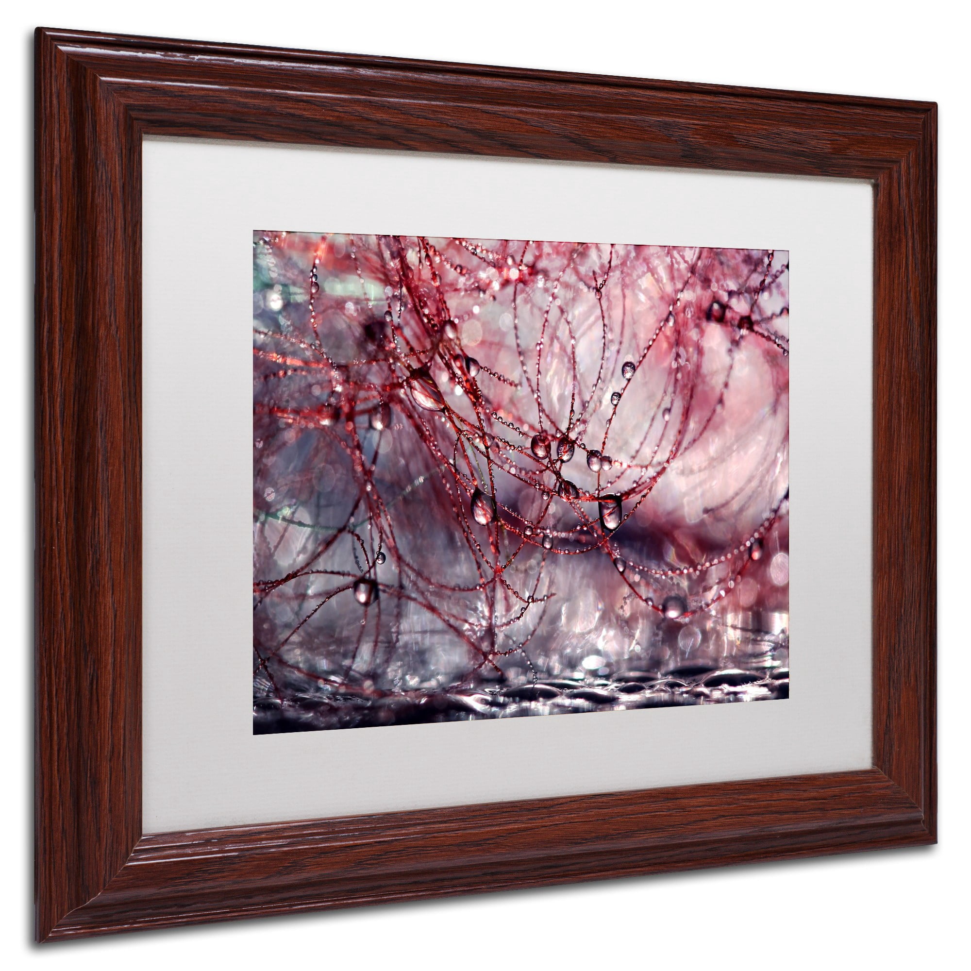 Trademark Fine Art "Life is Not Simple" Canvas Art by Beata Czyzowska Young, White Matte, Wood Frame