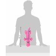 thumbnail image 3 of Gators with Chew Guard Technology Durable Plush Squeaker Dog Toy Large Count Pink (), 3 of 8
