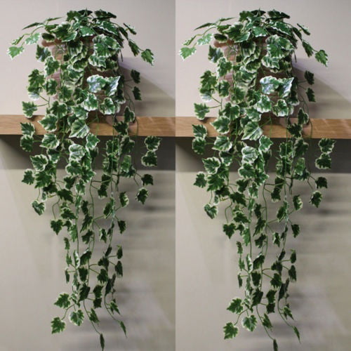 24 Strands Artificial Ivy Leaf Plants Vine Hanging Garland Foliage Details about   168 Feet 