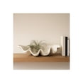 thumbnail image 3 of Decorative Clam Shell Bowl for Coffee Table Decor - Costal Inspired Bowl for Centerpiece Table Decorations or Home Decor - Elegant Kitchen Counter Decor, Key Holder, or Candy - 9", Ivory & Tan, 3 of 12