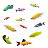 GloFish® 20G Community Betta-Danio-Shark 13ct Live Fish Assortment
