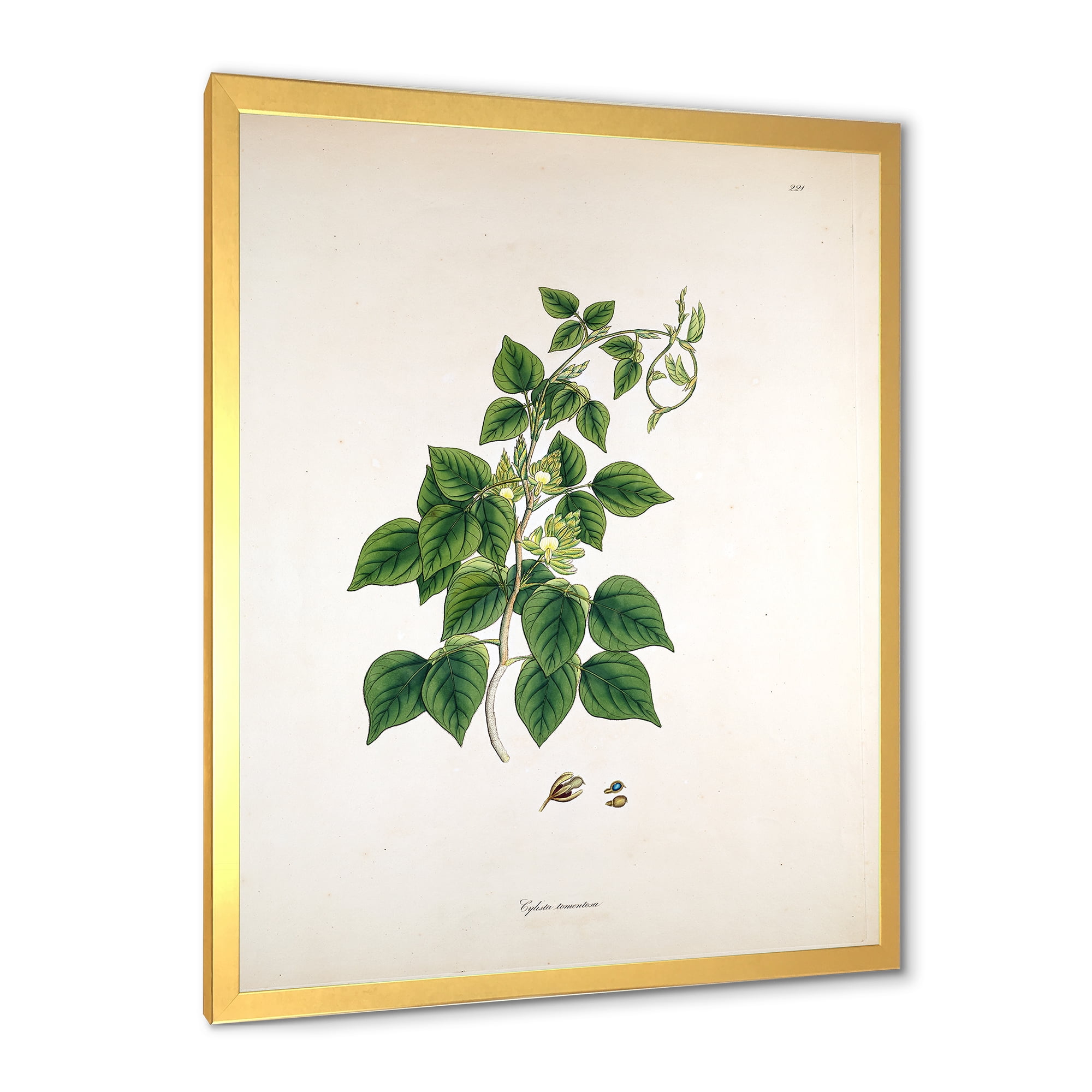 Designart 'Ancient London Plants VIII' Farmhouse Framed Art Print