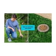 thumbnail image 4 of Luz Solar para Exteriores Disco BLACK+DECKER Paquete de 8 Resistente a la Intemperie, 4 of 8