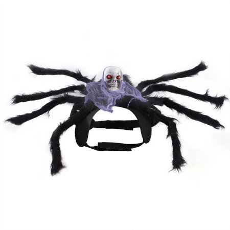 New Cat Dog Simulation Outfit Puppy Skull Cosplay Clothes Pet Spider Clothes Halloween Black Spider M