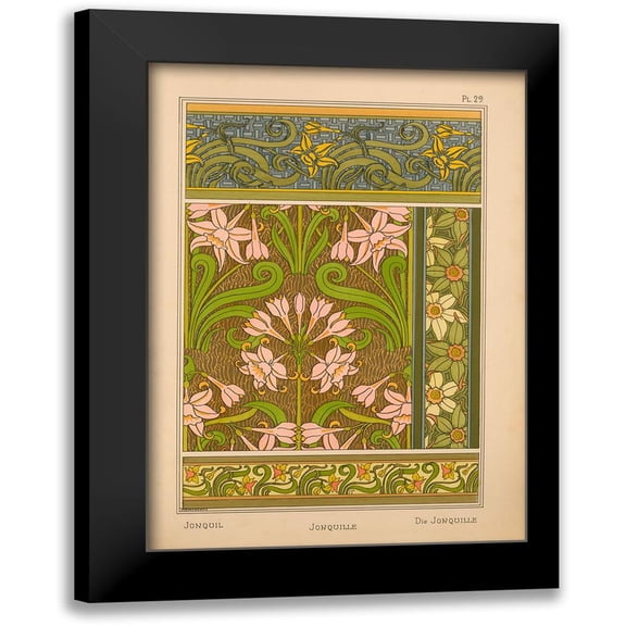 Vintage Apple Collection 11x14 Black Modern Framed Museum Art Print Titled - Plate 29 - Jonquil