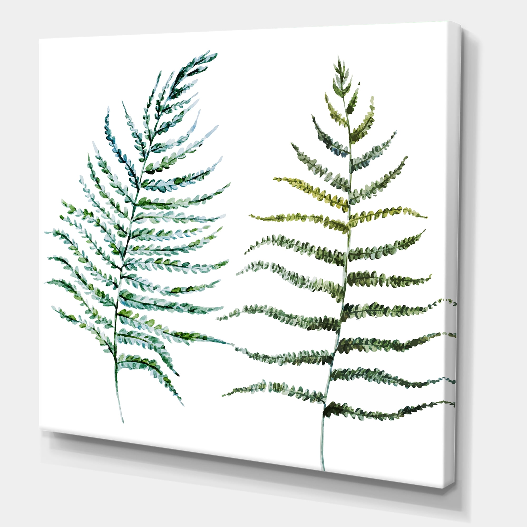 Designart ' Two Fern Leaves On White ' Farmhouse Canvas Wall Art Print