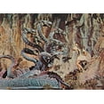 thumbnail image 1 of Impression Photo de Jason et les Argonautes (10 x 8), 1 of 1