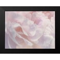 thumbnail image 2 of Pollard, David 14x12 Black Modern Framed Museum Art Print Titled - Peony Pink Blush III, 2 of 5