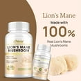 thumbnail image 4 of Lion's Mane Mushroom - Support Mood and Cognitive Function, Brain & Nervous System Health - 120 Capsules, 4 of 8