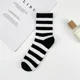 thumbnail image 5 of 12 Pares Calcetines Deportiva Hombre Y Mujer 3/4 Largas, 5 of 8