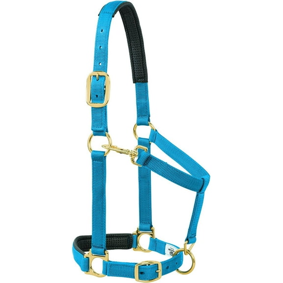 Weaver Leather Padded Adjustable Chin and Throat Snap Halter, 1" Large Horse or 2-Year-Old Draft, Solid Blue