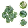 thumbnail image 4 of Miangastore Hanging Leaf Ornament Artificial Plant Pendant 1 Set Reptile Tank Hideout Lizard Terrarium Decor, 4 of 6