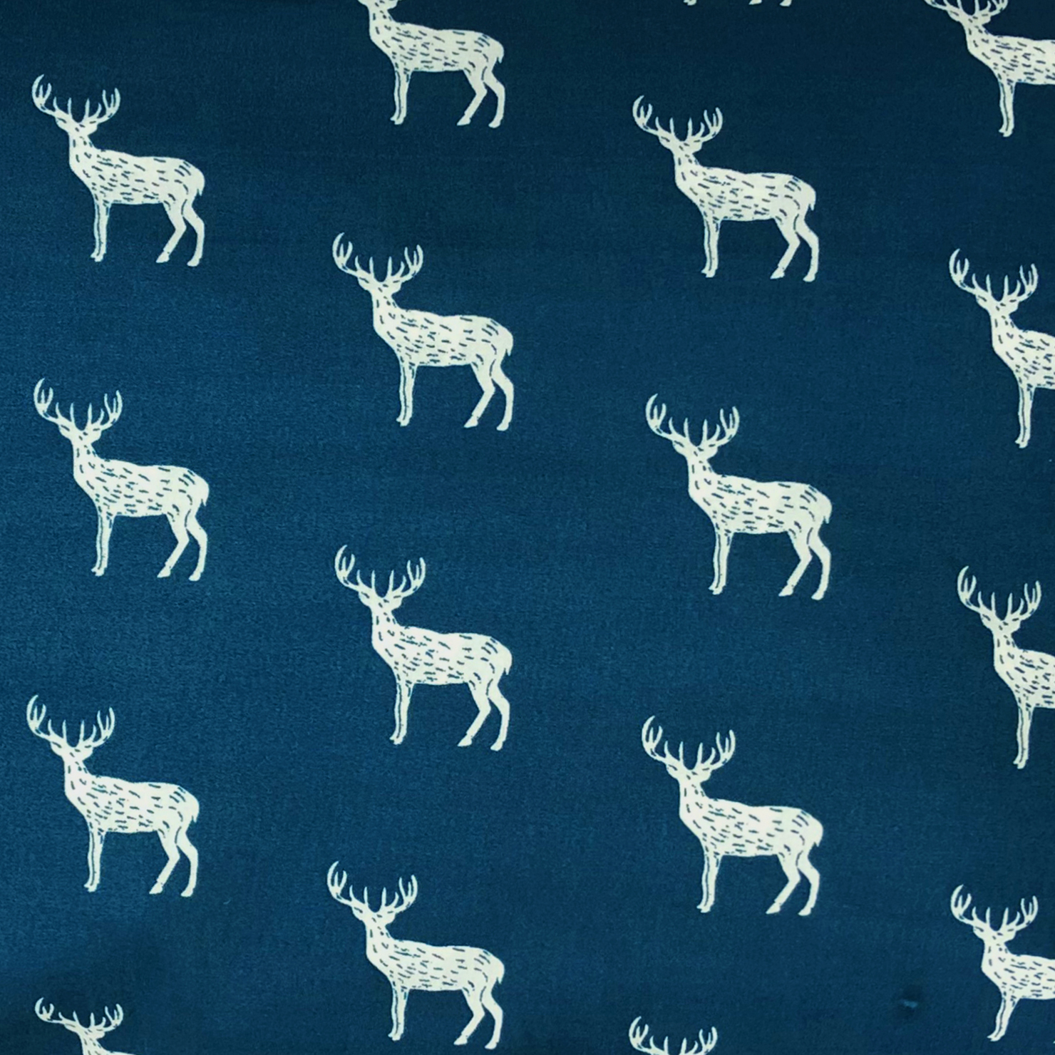 Contempo Deer Pillowcase Pair Standard Navy