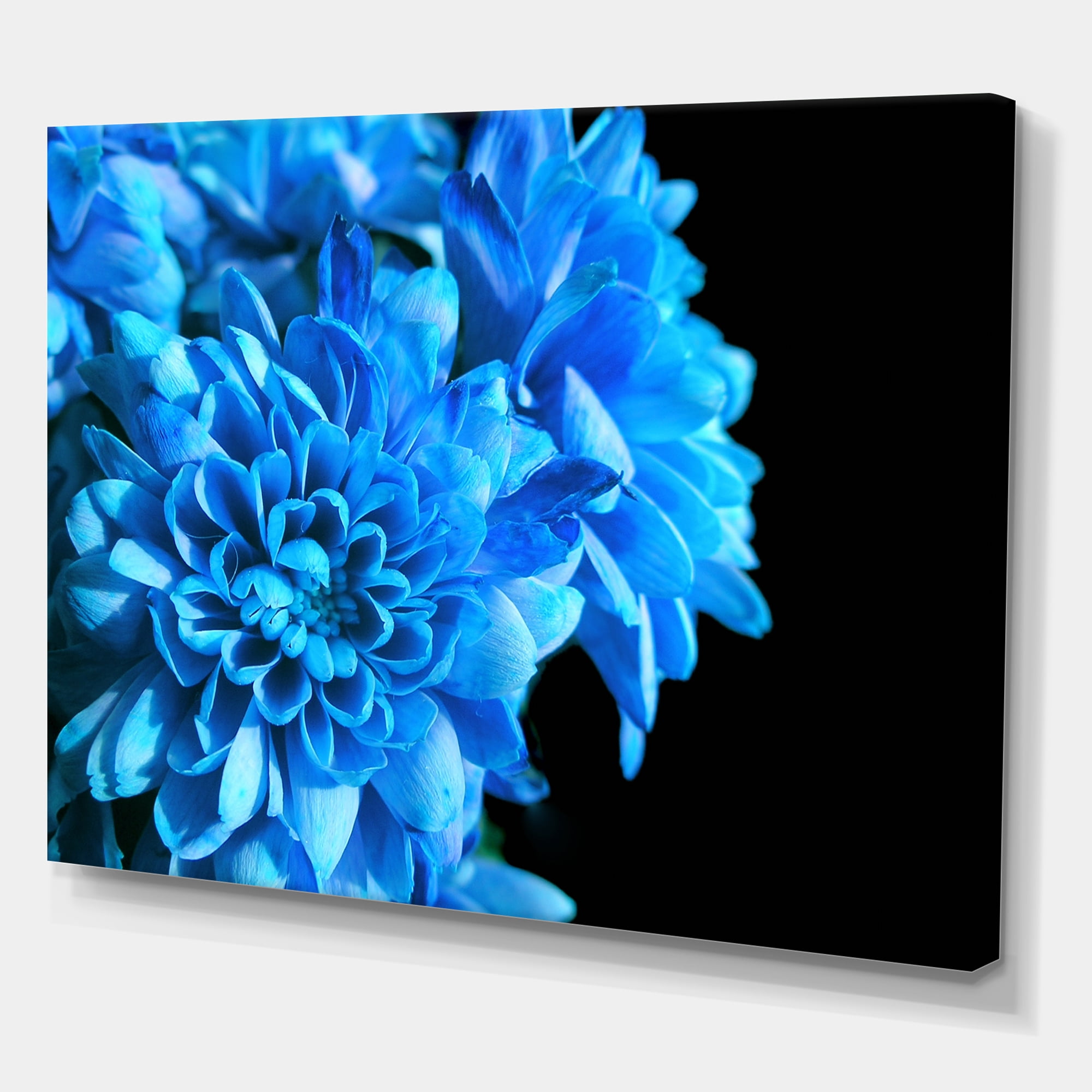 Designart ' Detail of Blue Flowers On Black Background I ' Traditional Canvas Wall Art Print