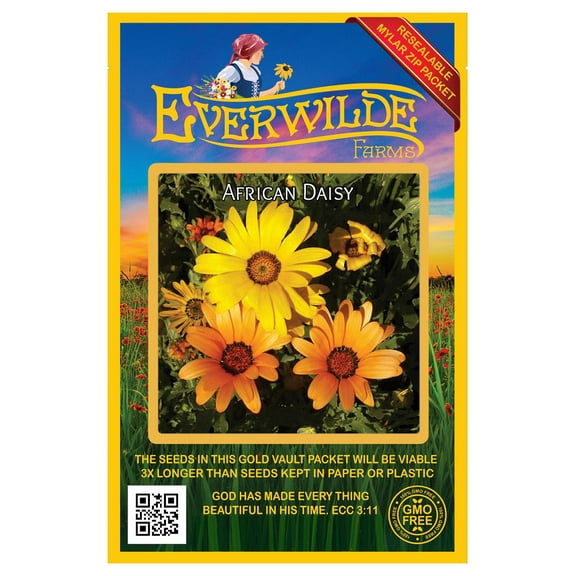 Everwilde Farms - 500 African Daisy Garden Flower Seeds - Gold Vault Jumbo Bulk Seed Packet