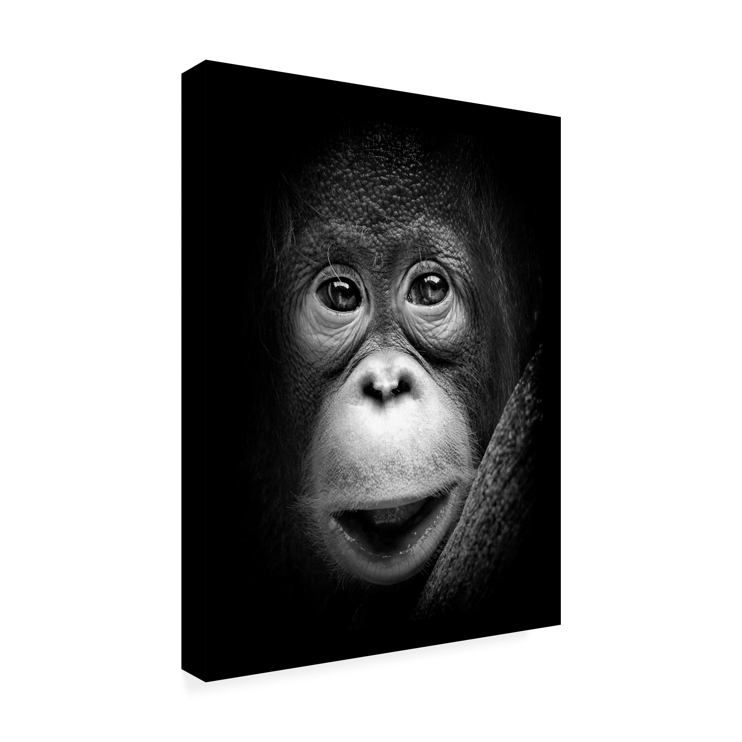 Trademark Fine Art Antonyus Bunjamin Innocent Canvas Wall Art
