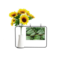 thumbnail image 1 of nature photography artificial sunflower vases bottle blessing card, 1 of 3