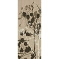 thumbnail image 2 of Stimson, Diane 15x32 White Modern Wood Framed Museum Art Print Titled - Grasses 2 Tan, 2 of 4