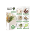 thumbnail image 4 of 60pcs Pampas Secas Plantas Decorativas Flores Artificiales Verde claro, 4 of 5