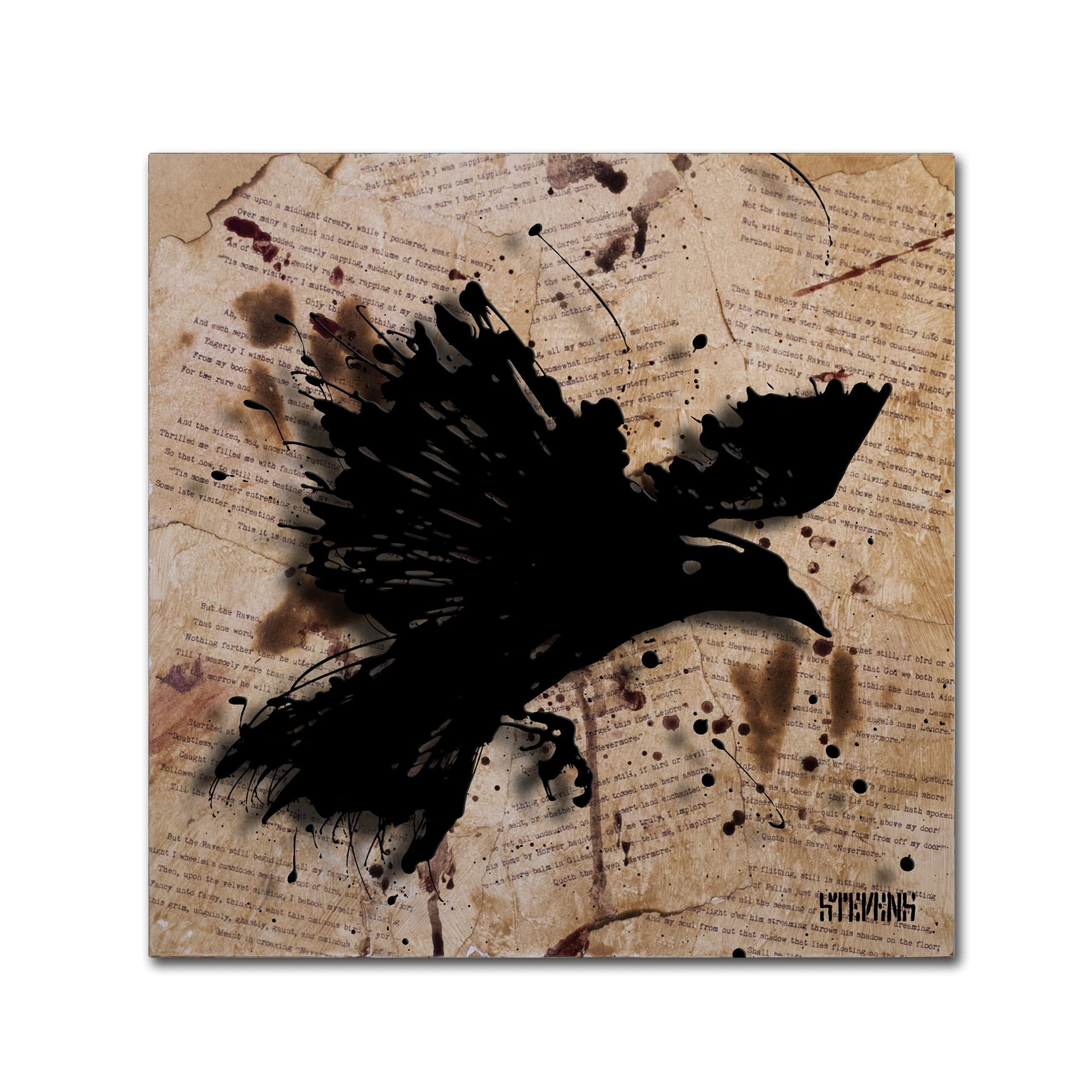 Roderick Stevens 'The Raven 1' Canvas Wall Art 14 x 14