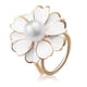 thumbnail image 1 of Jumpingount Broches de mujer con forma de Camelia y perlas, bufanda tricíclica, hebilla para chal Ropa, zapatos y accesorios Miscelánea Blanco flor, 1 of 6