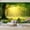 Color 4, variant on Wallpaper Sunlit Forest Meadow Wildflowers Blooming Morning Fantasy Peel and Stick Wall Murals 69"H x 96"W Removable PVC Wall Paper Self-Adhesive Wall Paintings Art Decor for Bedroom Living Room