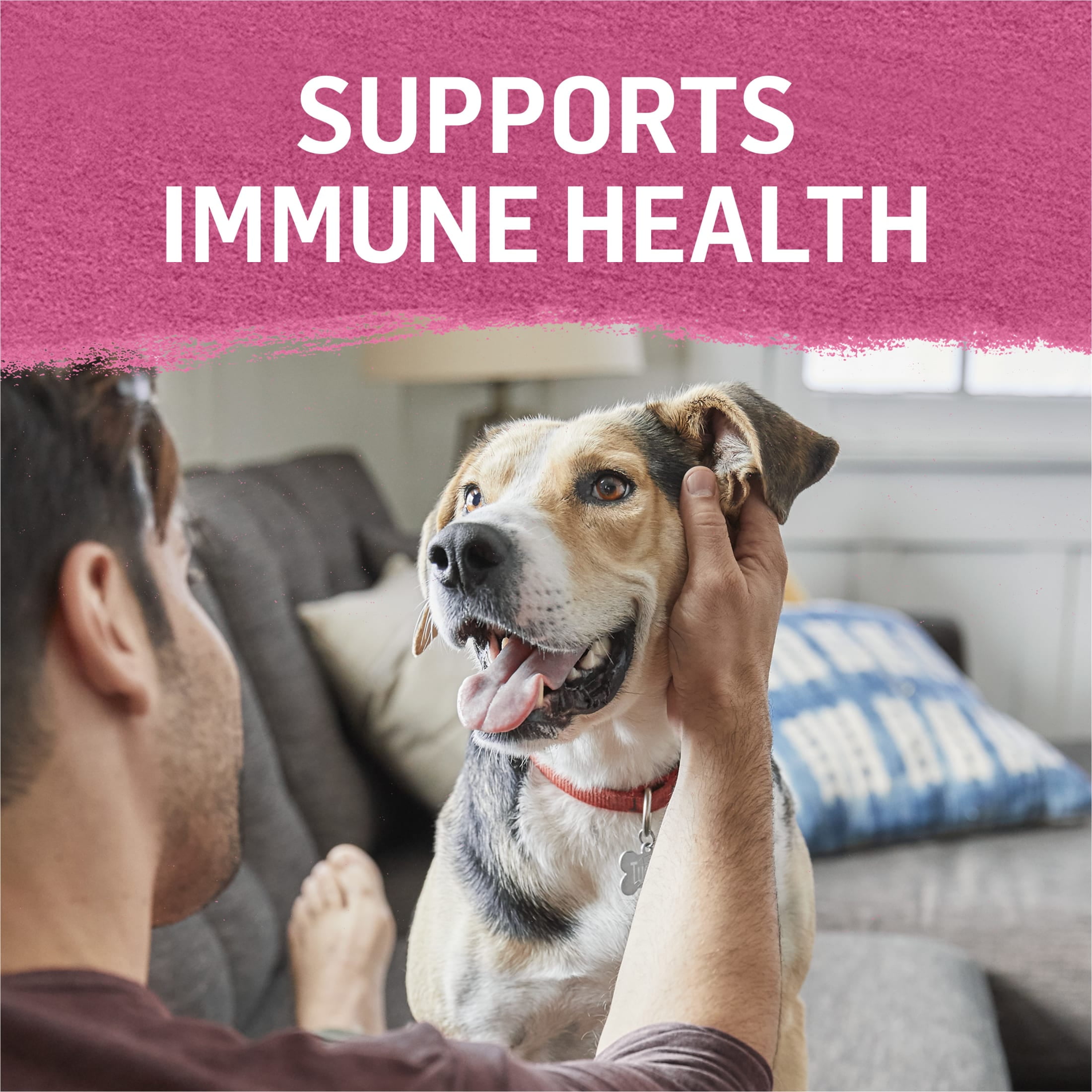 Purina Beyond Immune Health Wet Dog Food Natural Soft Beef & Spinach, 12.5 oz Can