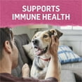 thumbnail image 4 of Purina Beyond Immune Health Wet Dog Food Natural Soft Beef & Spinach, 12.5 oz Can, 4 of 11