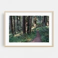 thumbnail image 2 of Untitled - California Photography Forest Nature Woodland Scenic Wilderness Unframed Wall Art Print 40 x 60 inches, 2 of 7