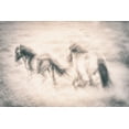 thumbnail image 2 of Davidsson, Gustav 14x11 White Modern Wood Framed Museum Art Print Titled - Running Free, 2 of 4