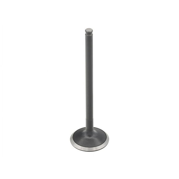 Bronco New Exhaust Valve, 183-09229E