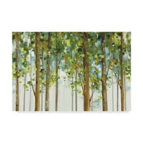Trademark Fine Art 'Forest Study I Crop' Canvas Art by Lisa Audit