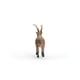 thumbnail image 5 of Schleich Wild Life New 2024 Figura de Capricornio de juguete, animal salvaje, 5 of 5